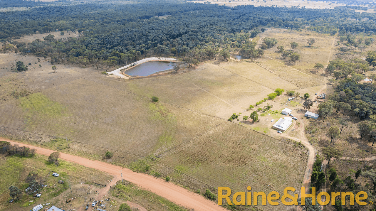 558 Patrick Road, DUNEDOO, NSW 2844