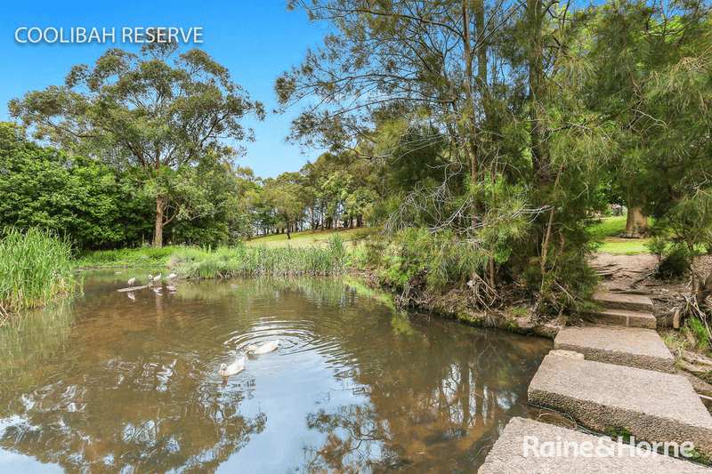 36 Edith Street, BARDWELL PARK, NSW 2207