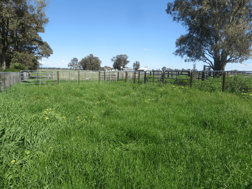 702 Mayfield Road, WAROONA, WA 6215