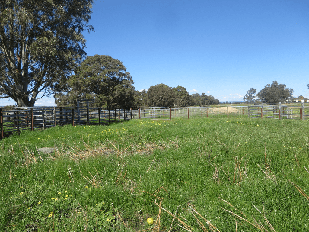 702 Mayfield Road, WAROONA, WA 6215