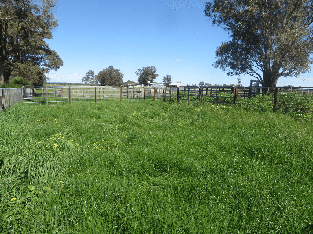 702 Mayfield Road, WAROONA, WA 6215