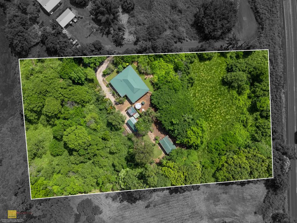 1964A Palmerston Highway, EAST PALMERSTON, QLD 4860