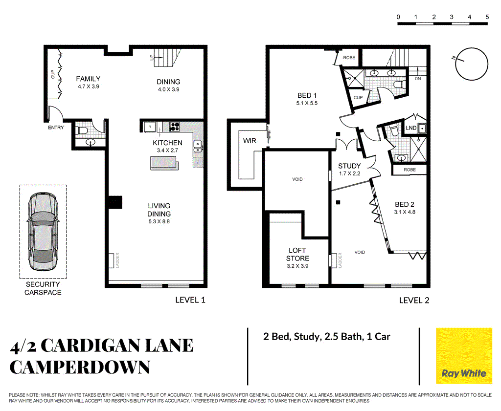 4/2 Cardigan Lane, CAMPERDOWN, NSW 2050