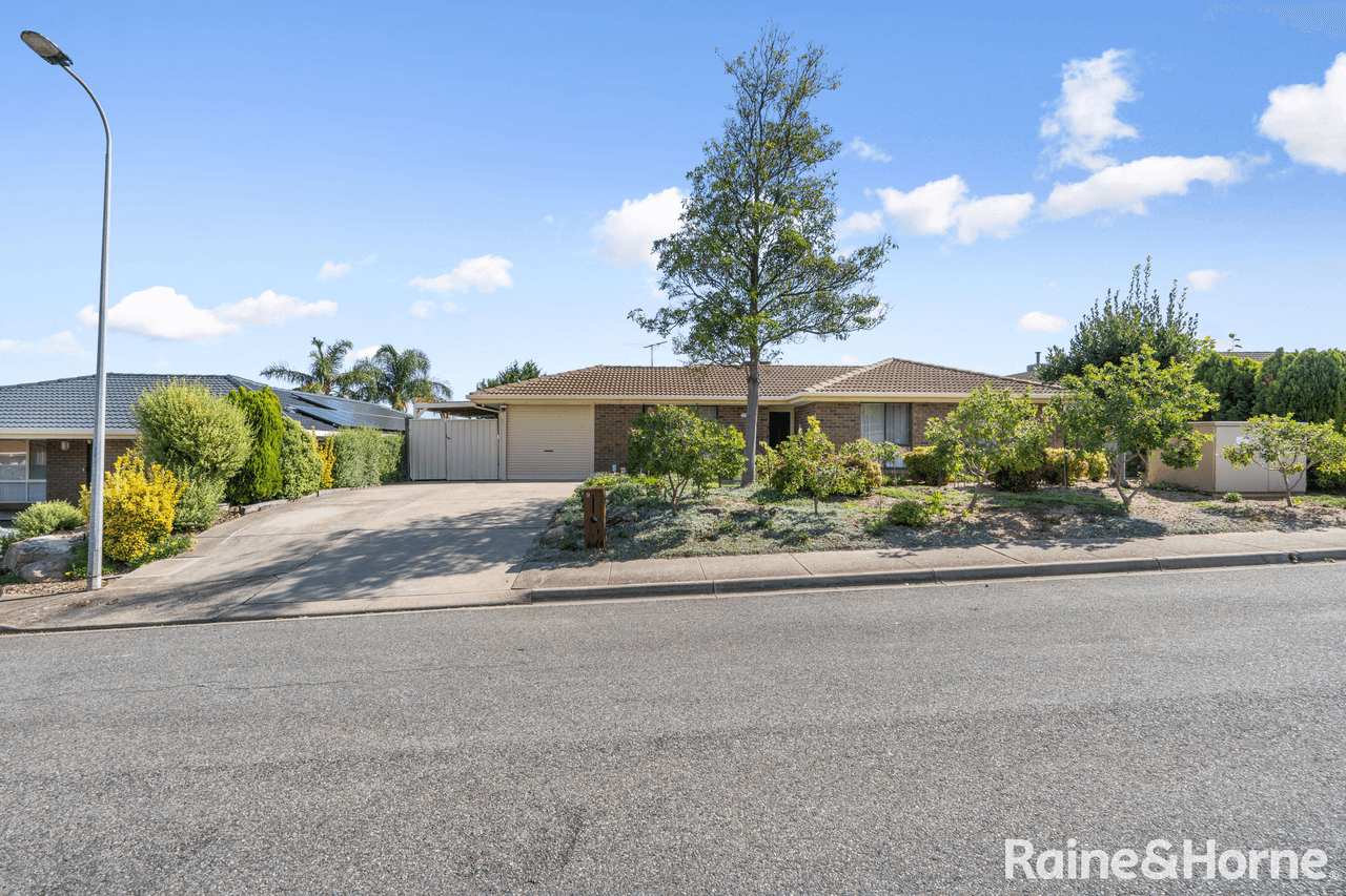 9 Peony Court, MORPHETT VALE, SA 5162