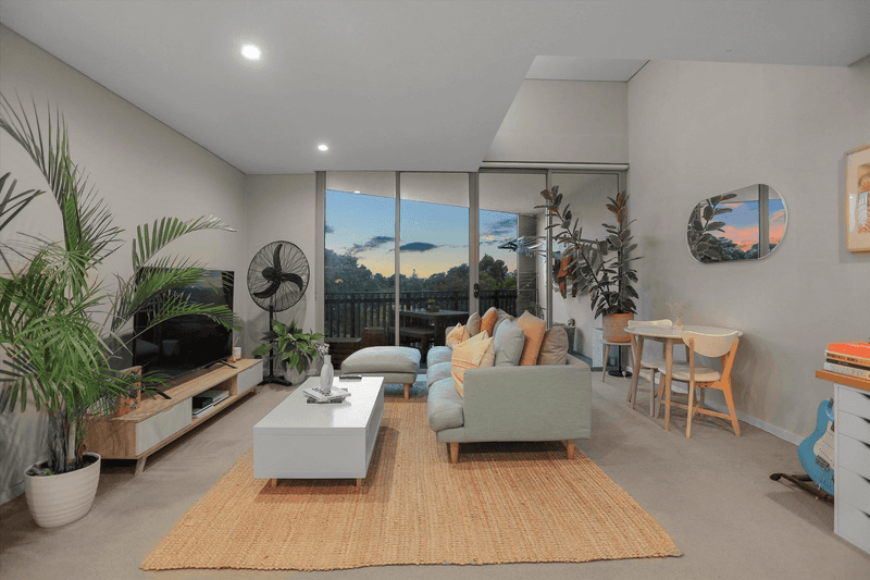 17/53 Barwon Park Road, St Peters, NSW 2044