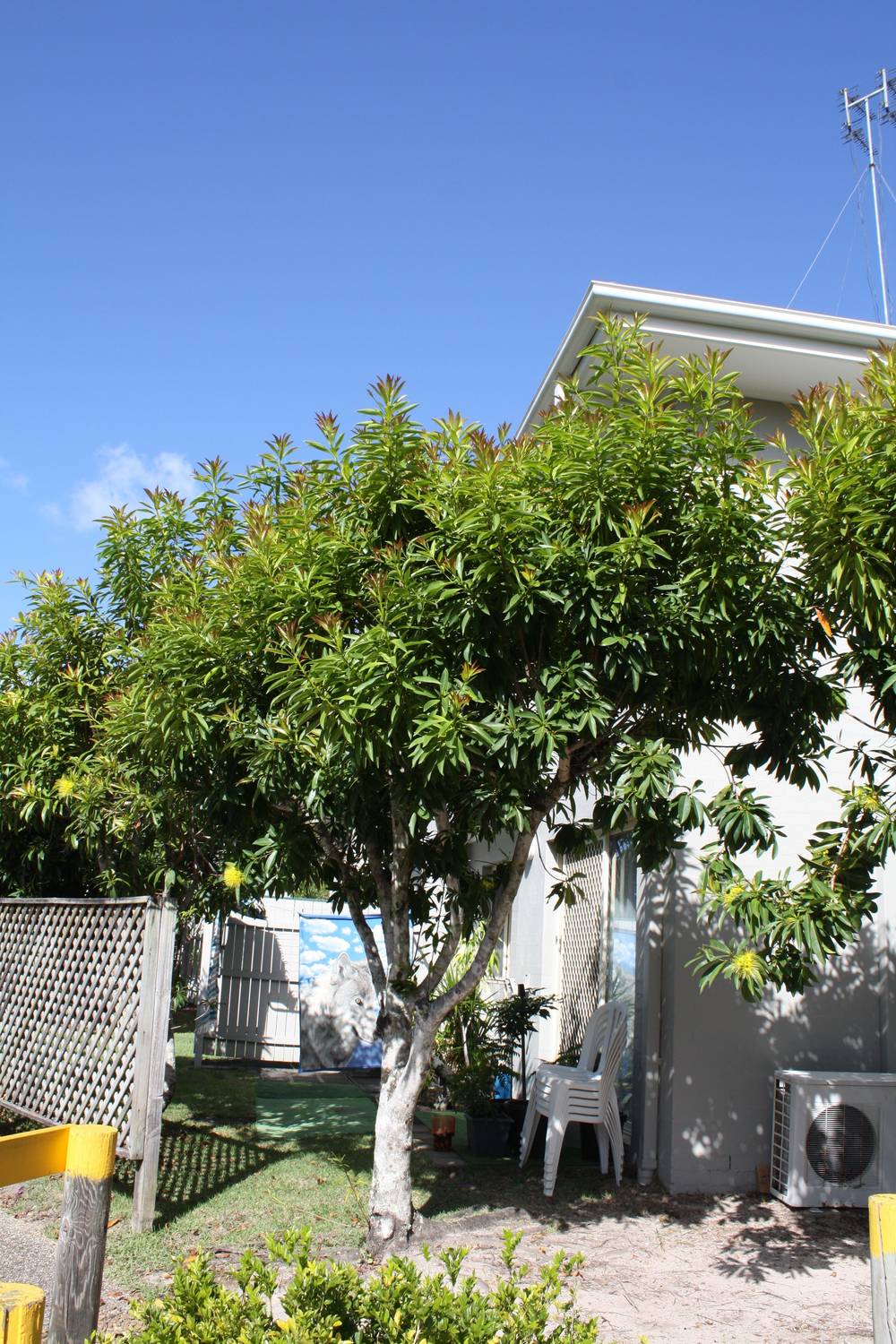 UNIT 55/3 Arundel Drive, Arundel, QLD 4214