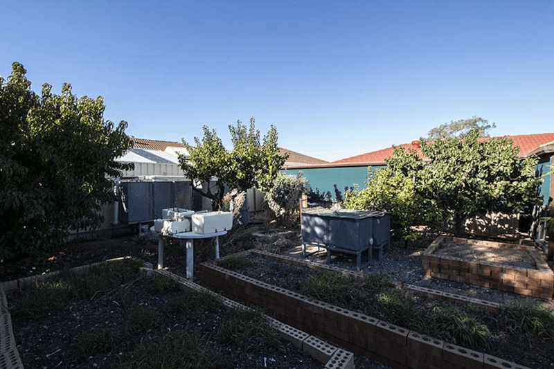 19 Ivy Street, Huntfield Heights, SA 5163