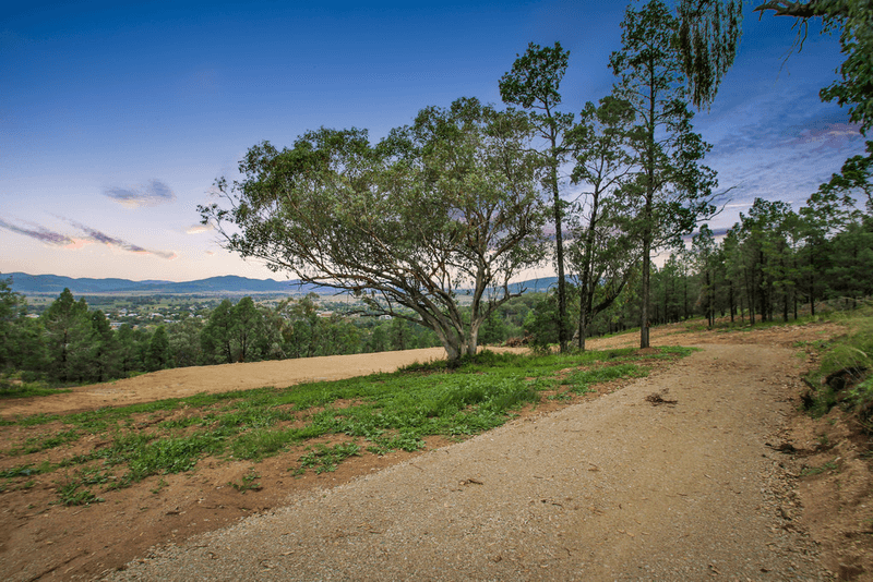 51 Ray Carter Drive, QUIRINDI, NSW 2343