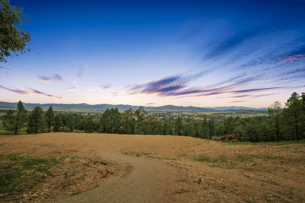 51 Ray Carter Drive, QUIRINDI, NSW 2343