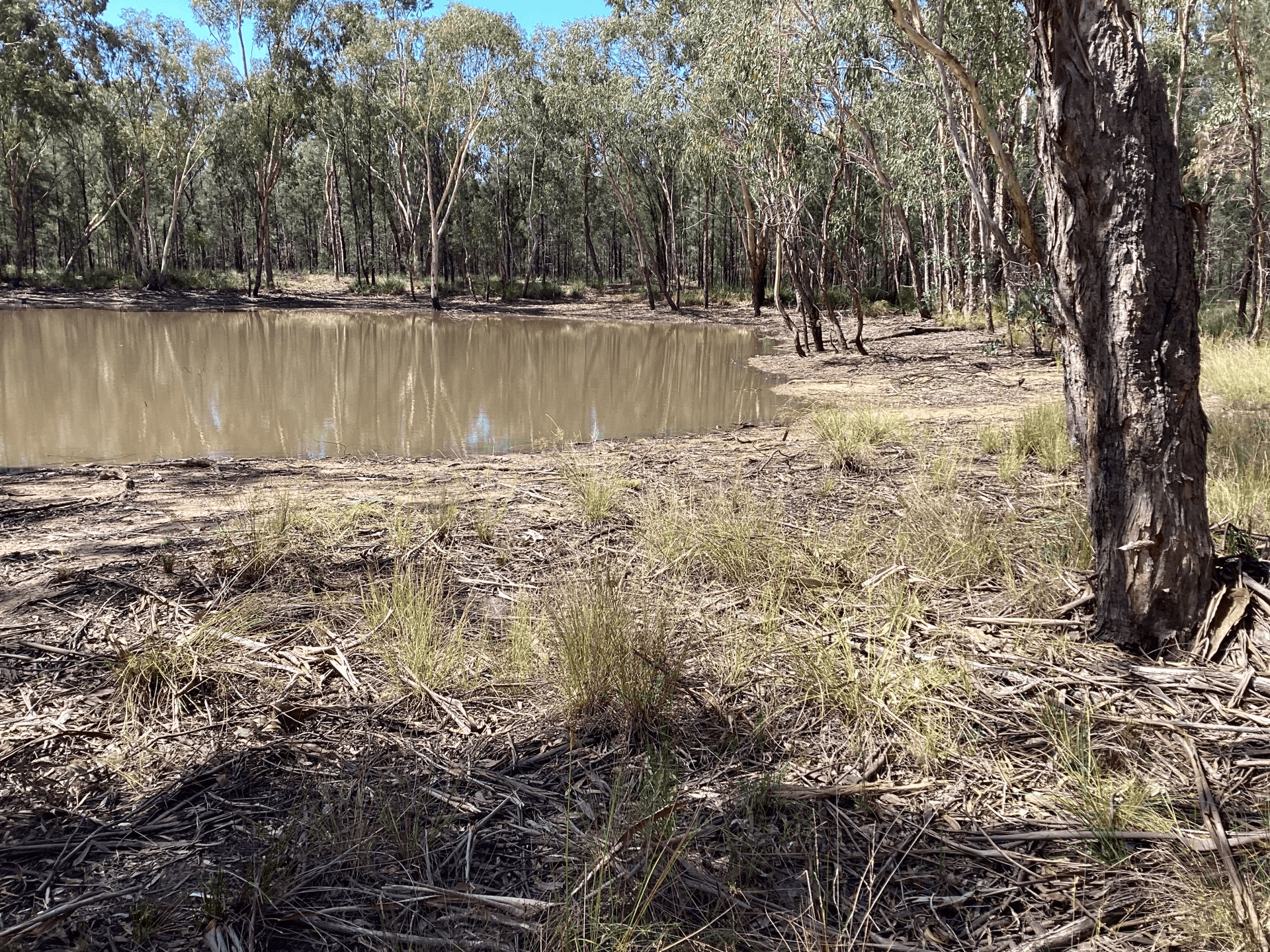 92 Bark Rd, CONDAMINE FARMS, QLD 4357