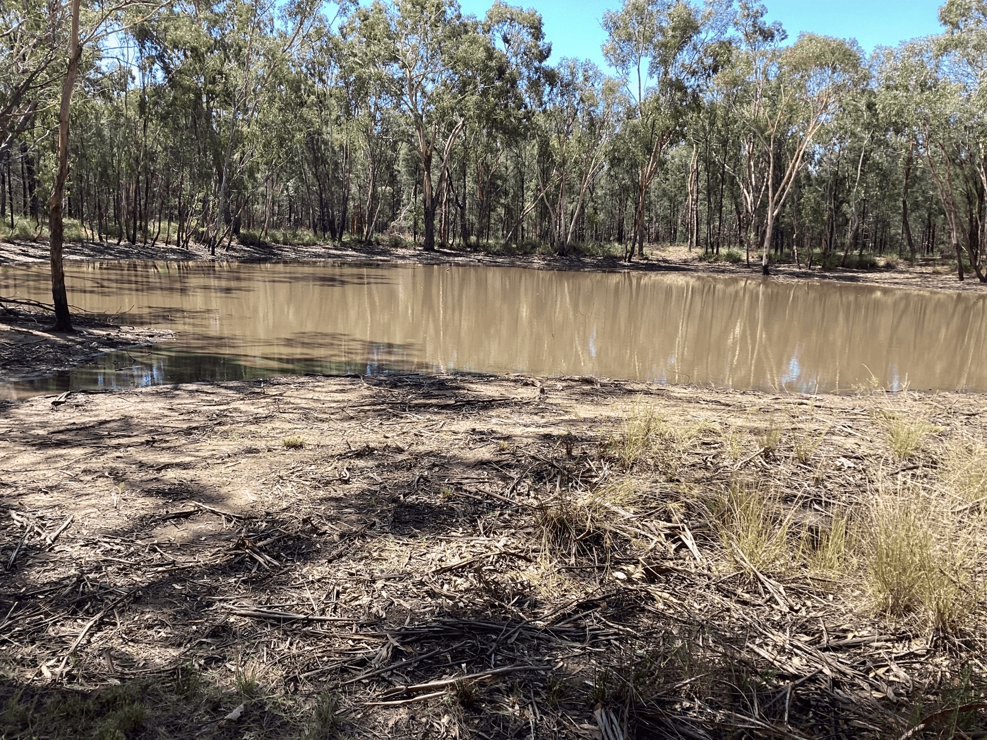 92 Bark Rd, CONDAMINE FARMS, QLD 4357