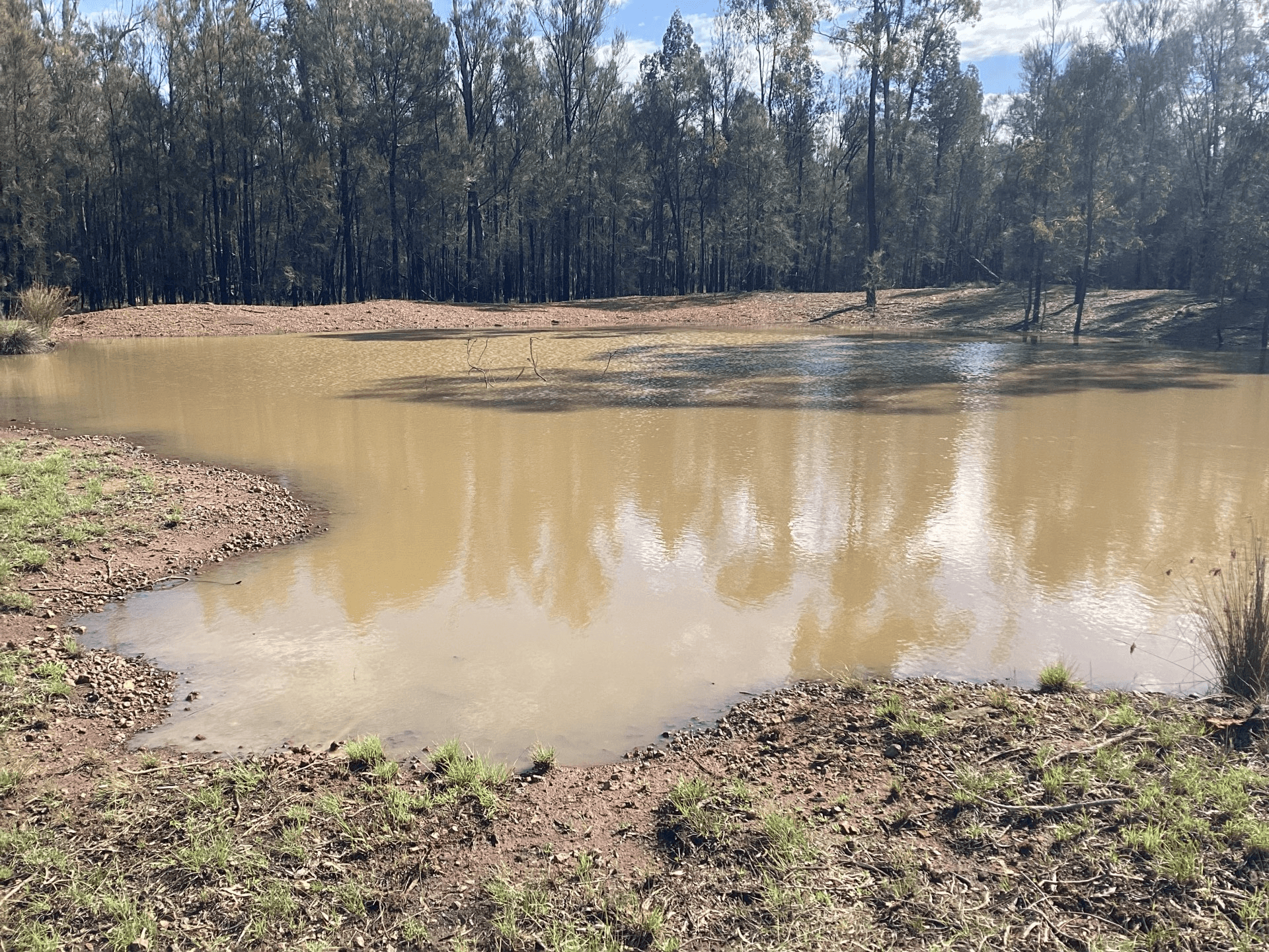 92 Bark Rd, CONDAMINE FARMS, QLD 4357