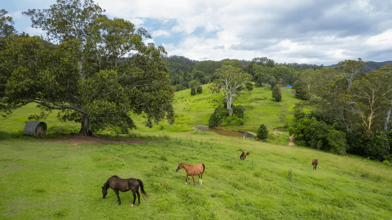 59 Ironstone Creek Road, TUCHEKOI, QLD 4570