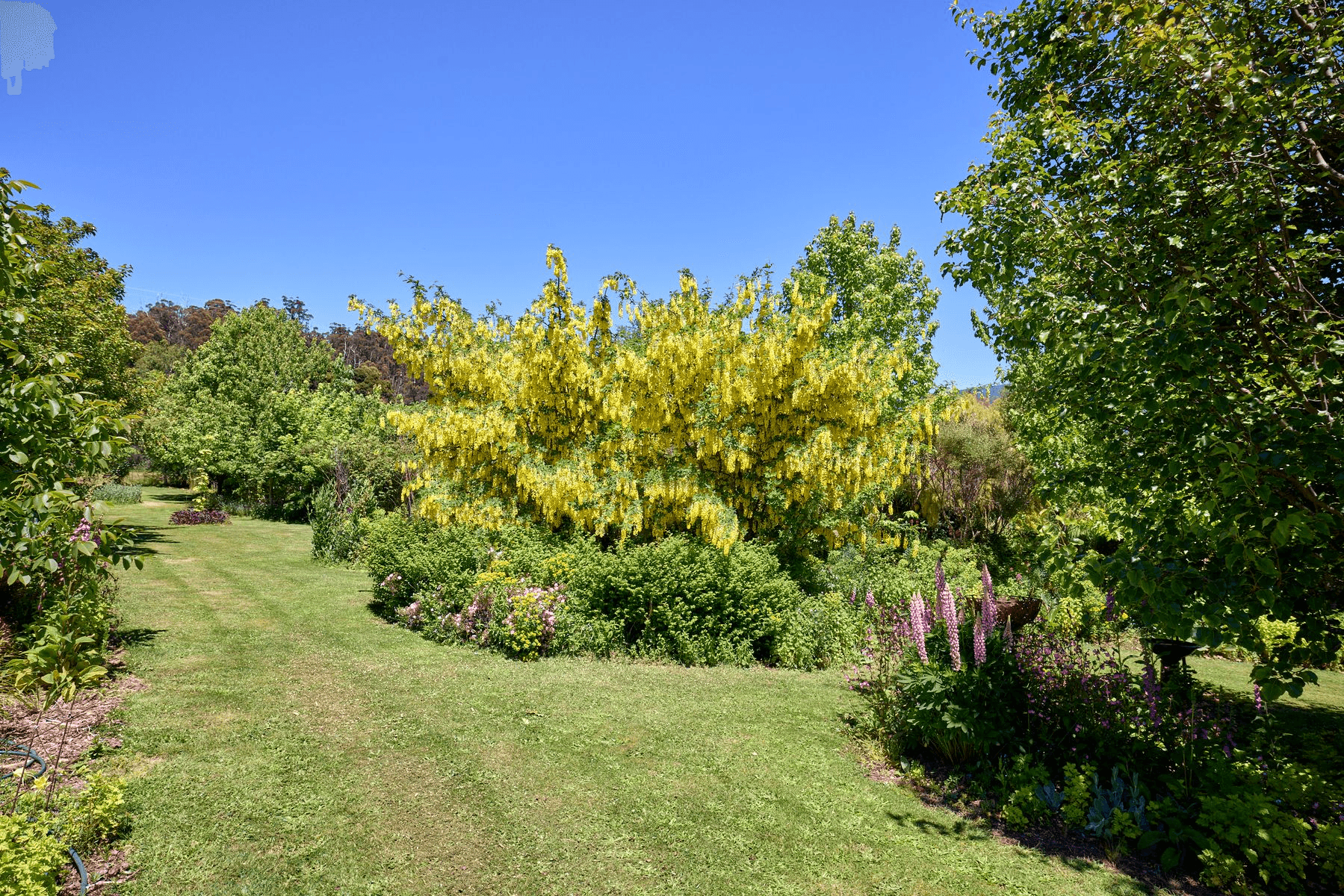 51 Whiteleys Road, Meander, TAS 7304