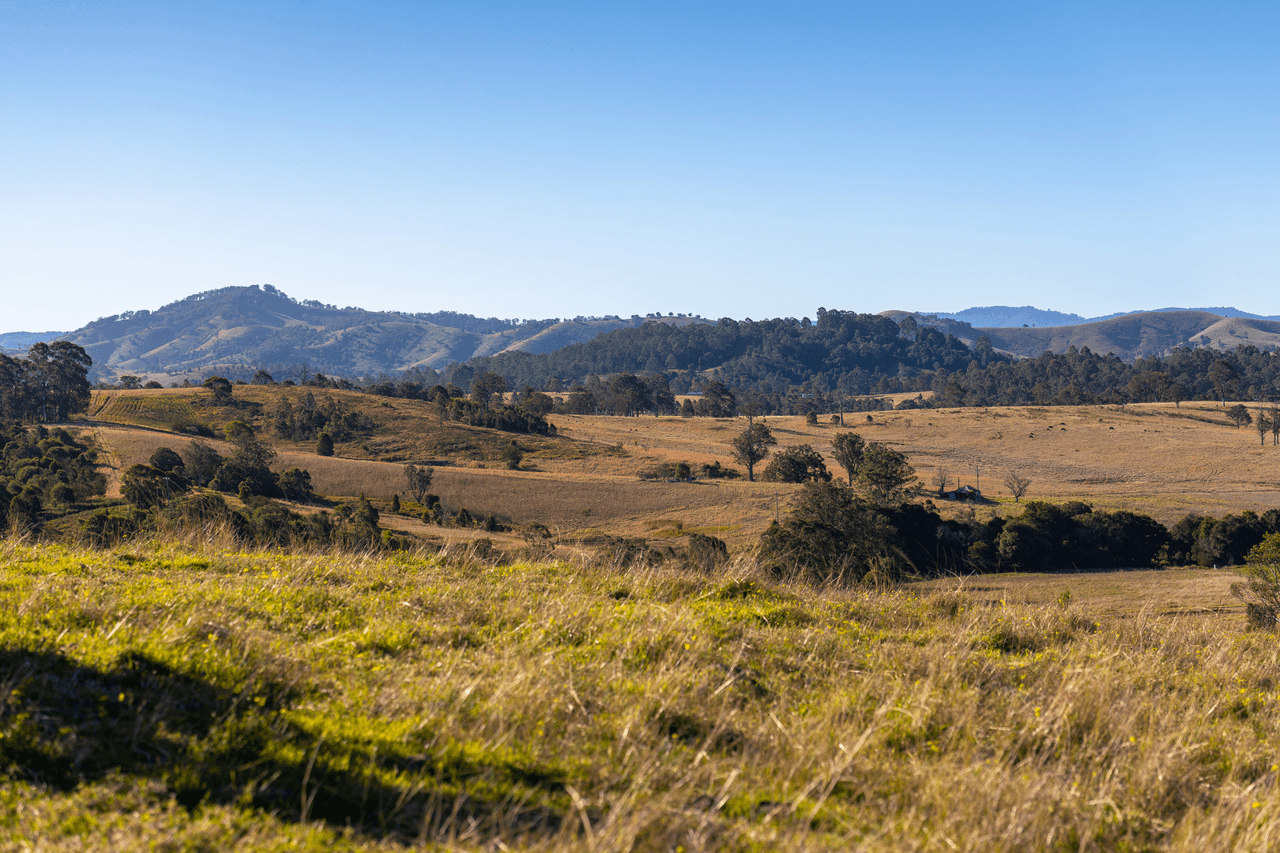 87 Norries Road, BUNYAH, NSW 2429