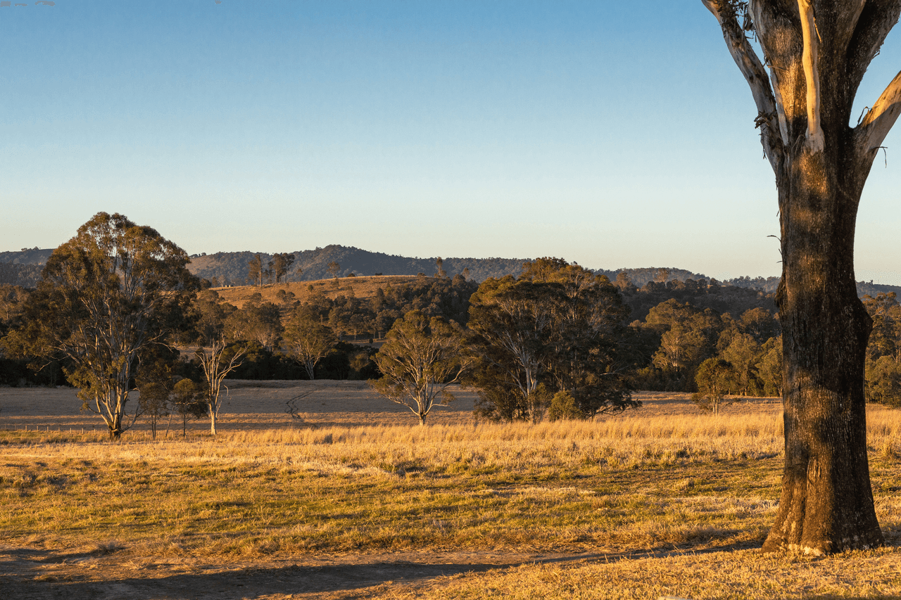 87 Norries Road, BUNYAH, NSW 2429