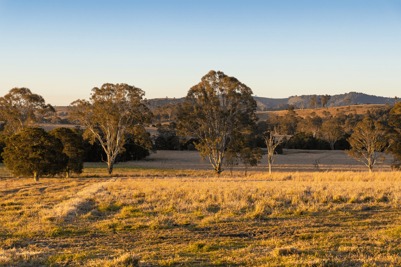 87 Norries Road, BUNYAH, NSW 2429