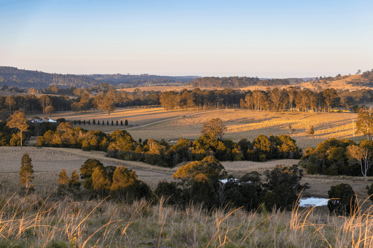 87 Norries Road, BUNYAH, NSW 2429