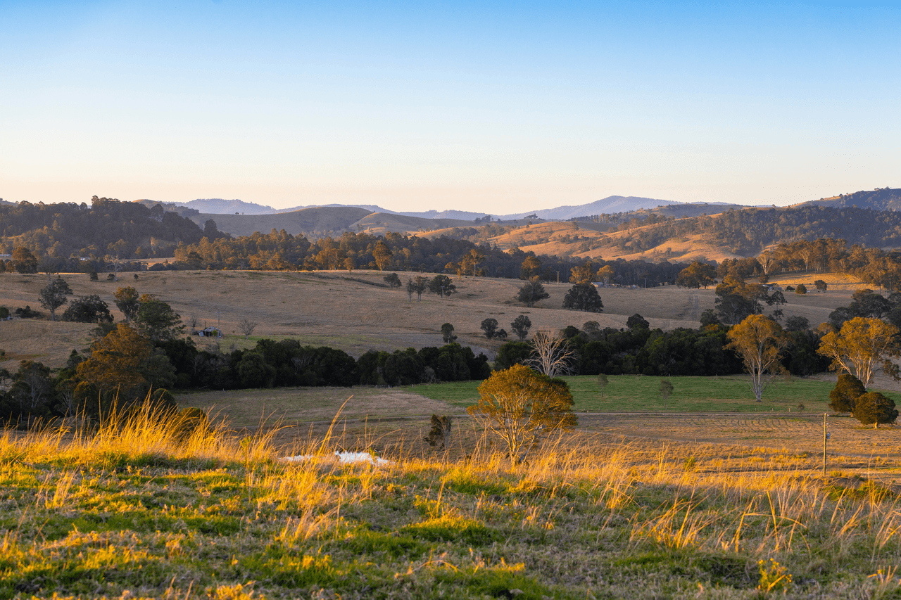 87 Norries Road, BUNYAH, NSW 2429