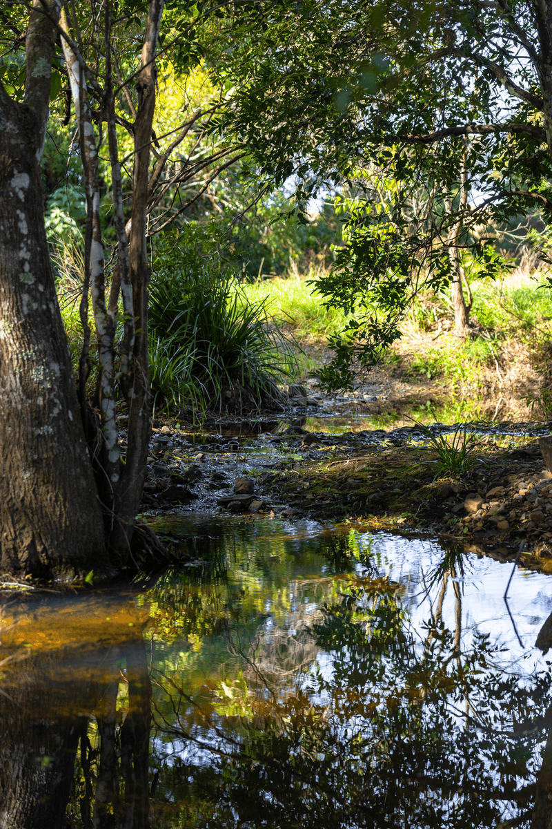 87 Norries Road, BUNYAH, NSW 2429