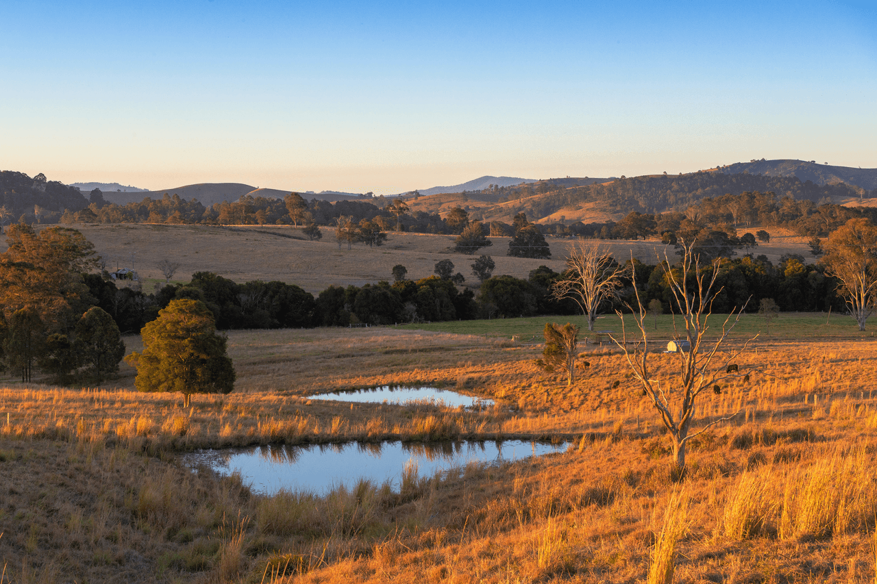 87 Norries Road, BUNYAH, NSW 2429