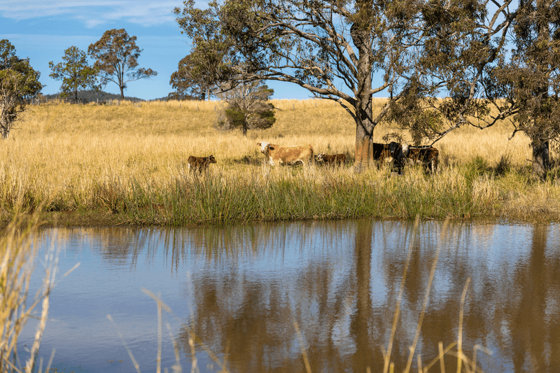 87 Norries Road, BUNYAH, NSW 2429