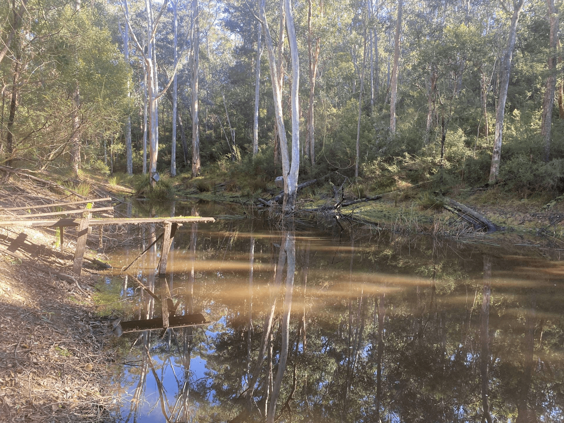 138 Elliot Road, Valencia Creek, VIC 3860