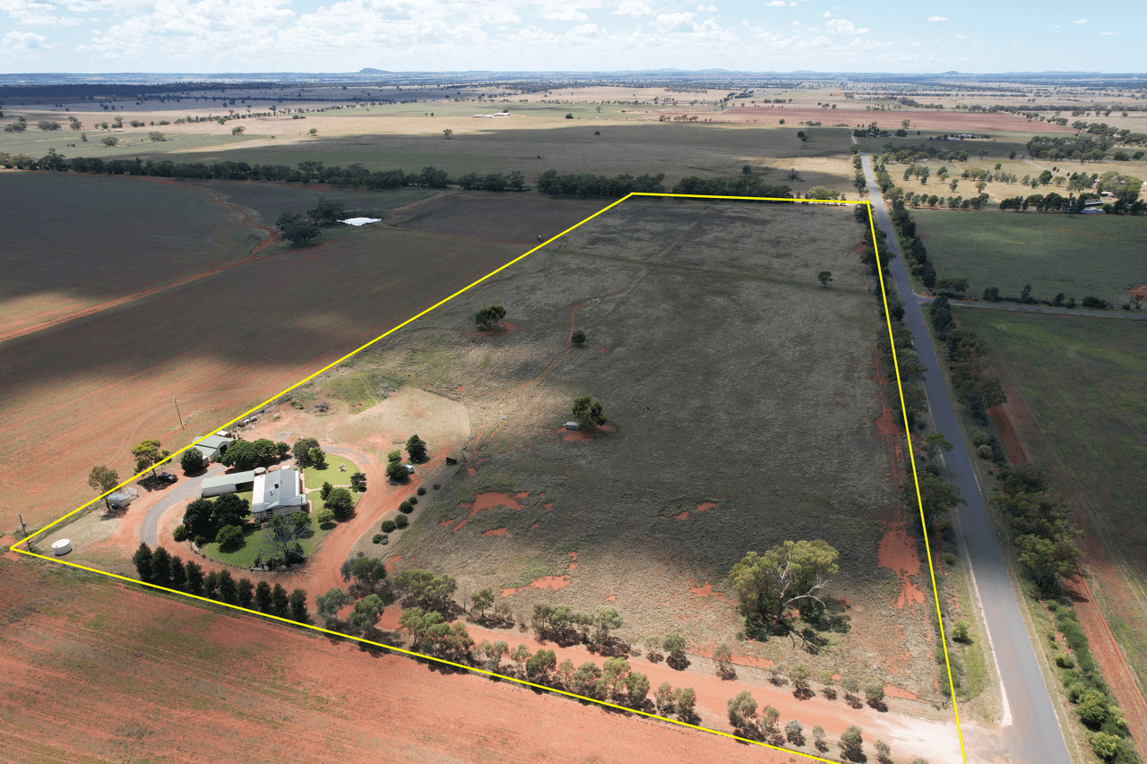 89 Worthington Lane, CONDOBOLIN, NSW 2877