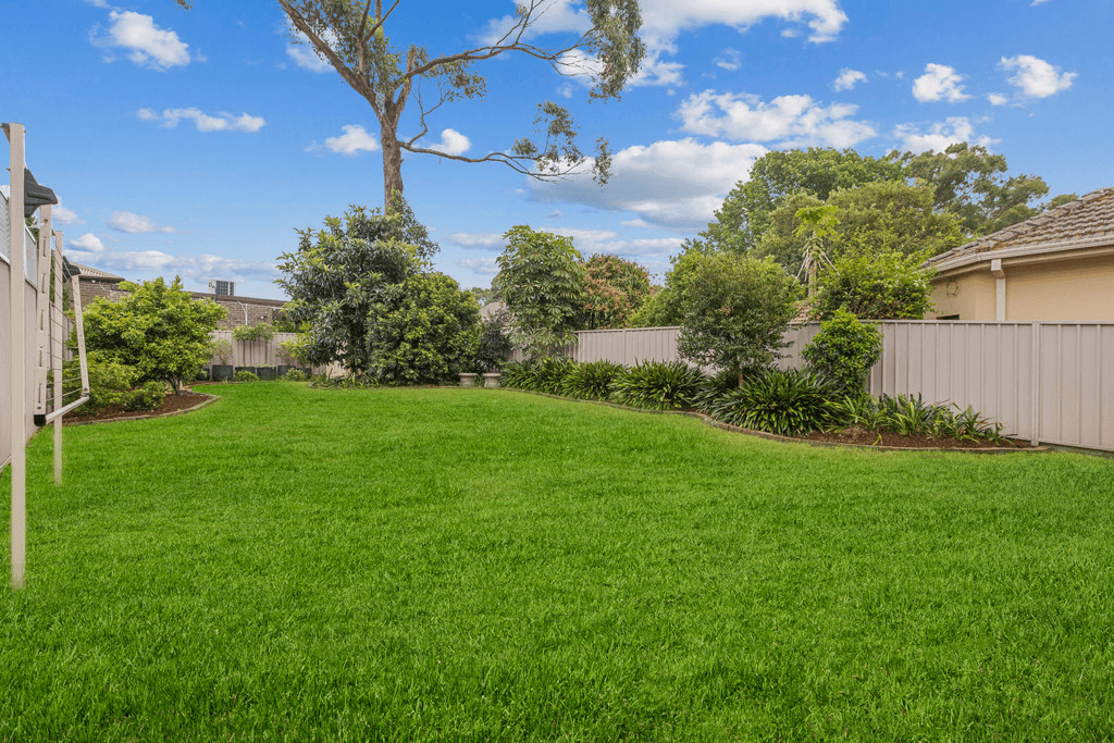 19 Hardy Street, ASHFIELD, NSW 2131