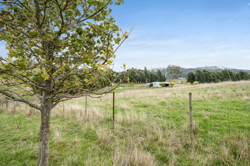 45 Hockings Lane, GOLDIE, VIC 3435