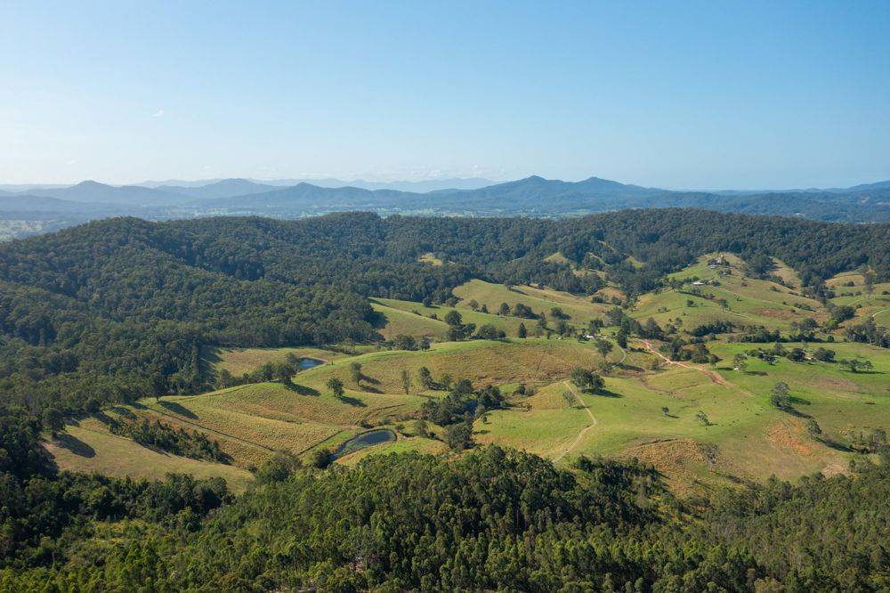 353 Rhones Creek Road, TALARM, NSW 2447
