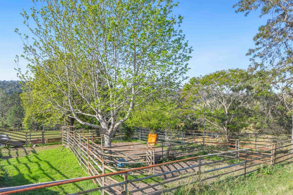 353 Rhones Creek Road, TALARM, NSW 2447
