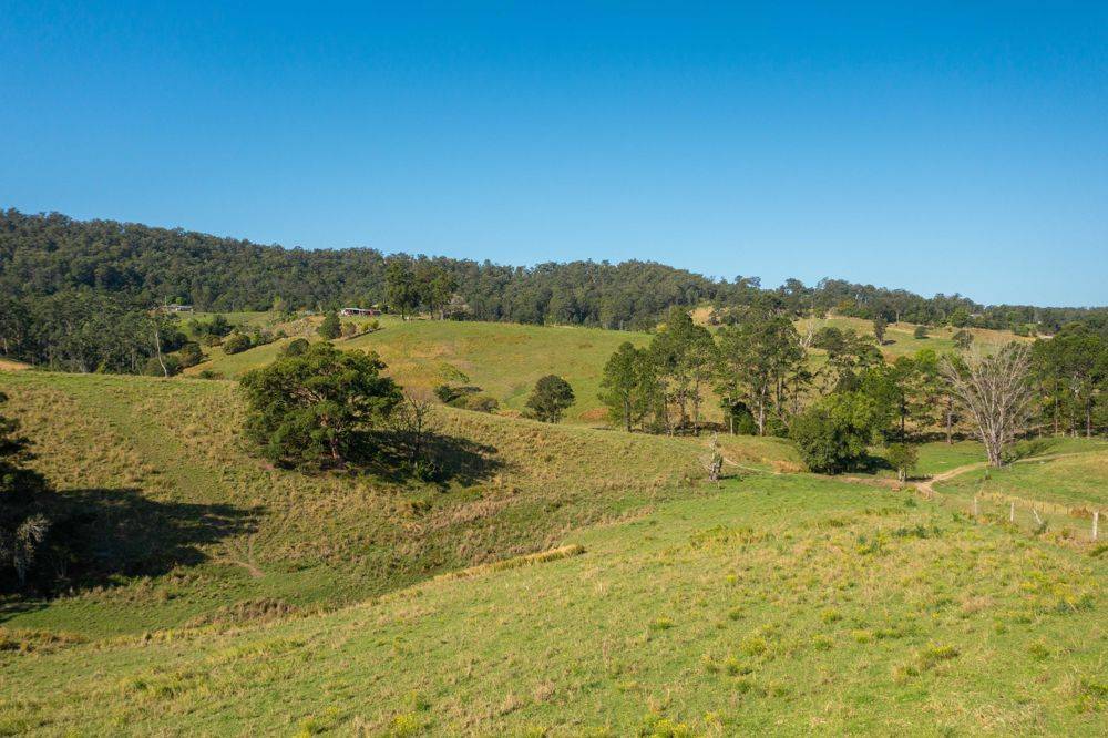 353 Rhones Creek Road, TALARM, NSW 2447
