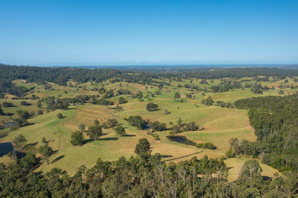 353 Rhones Creek Road, TALARM, NSW 2447