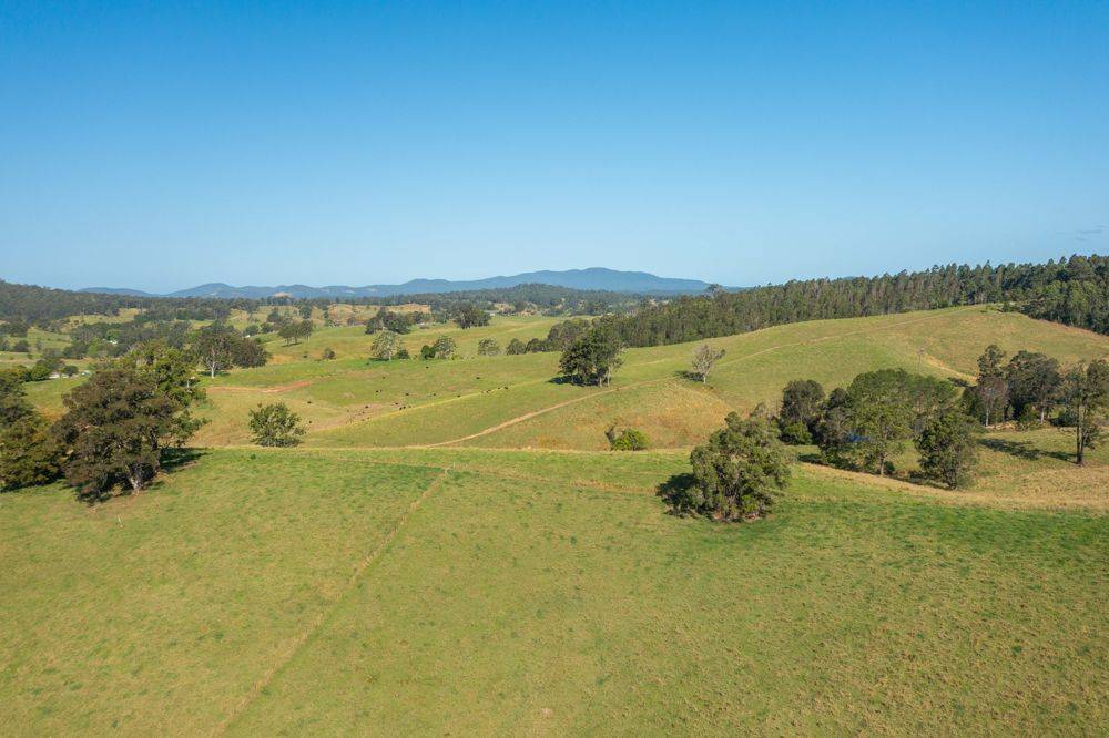 353 Rhones Creek Road, TALARM, NSW 2447