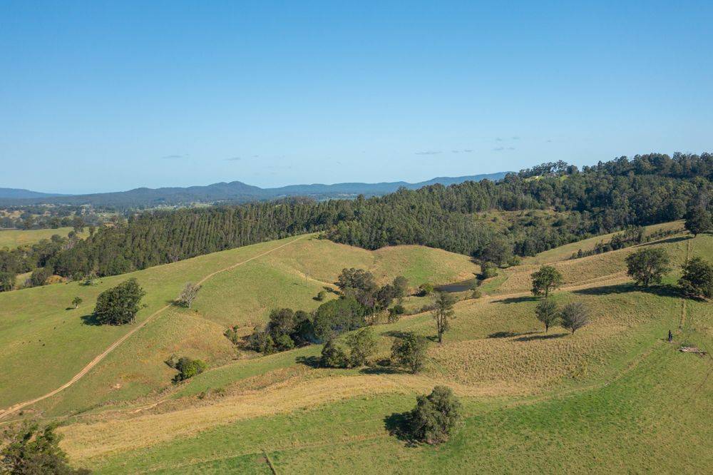 353 Rhones Creek Road, TALARM, NSW 2447