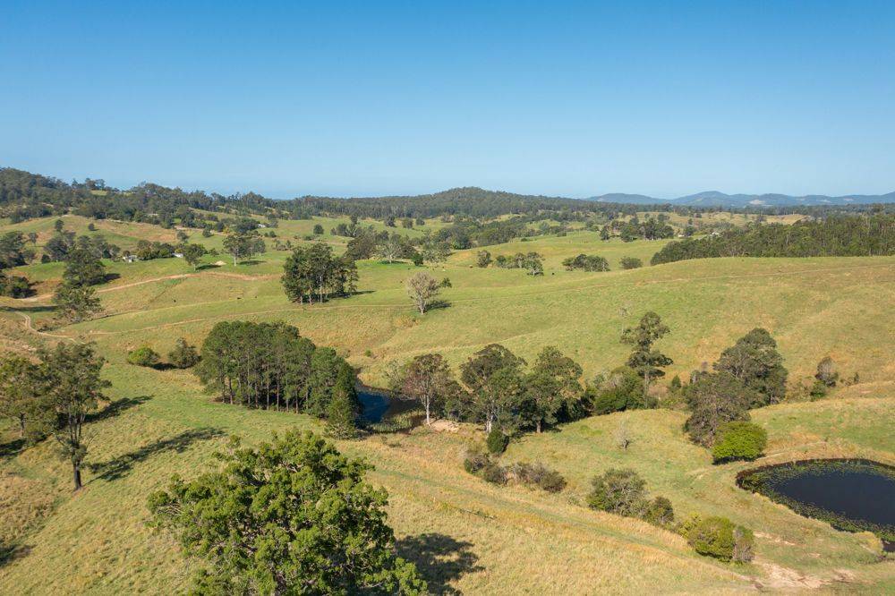 353 Rhones Creek Road, TALARM, NSW 2447