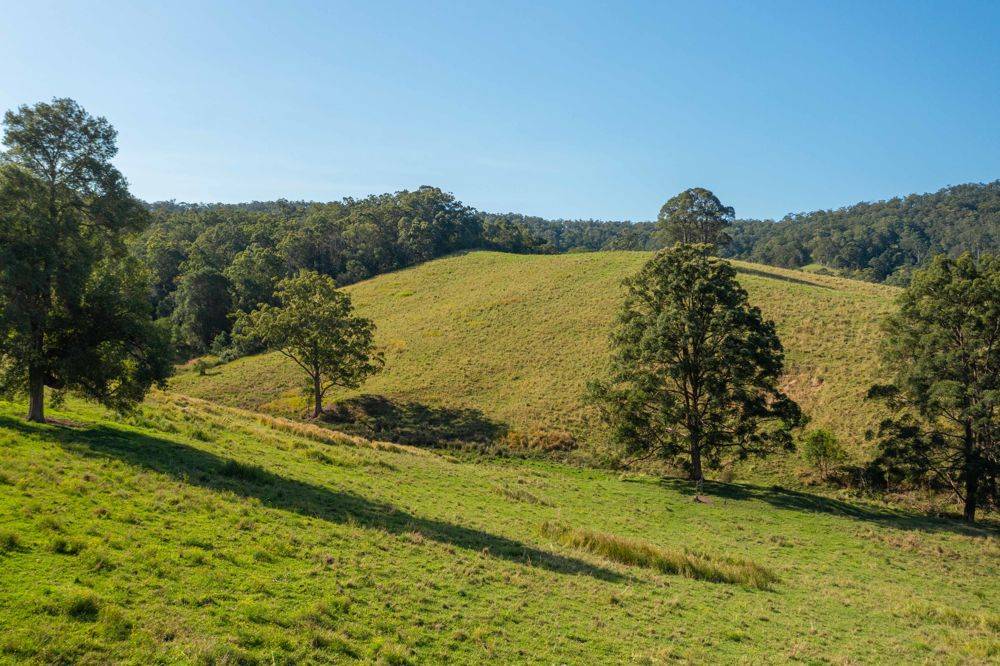 353 Rhones Creek Road, TALARM, NSW 2447
