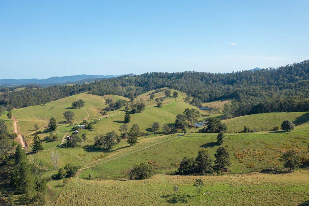 353 Rhones Creek Road, TALARM, NSW 2447