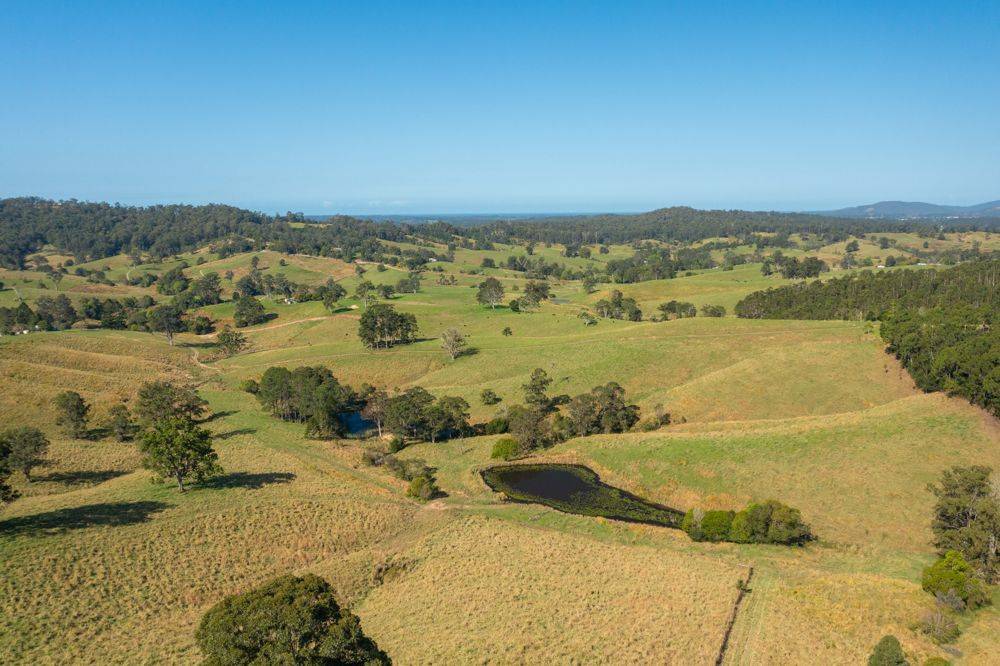 353 Rhones Creek Road, TALARM, NSW 2447