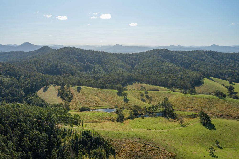 353 Rhones Creek Road, TALARM, NSW 2447