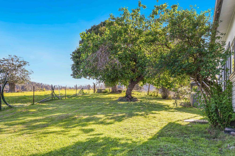 353 Rhones Creek Road, TALARM, NSW 2447