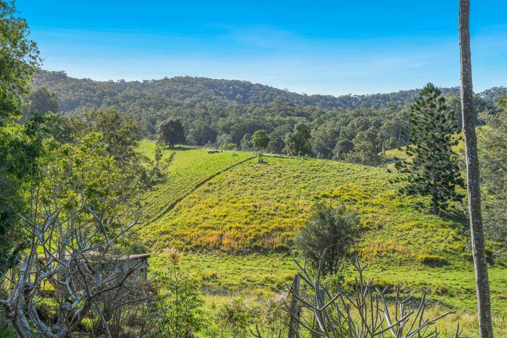 353 Rhones Creek Road, TALARM, NSW 2447