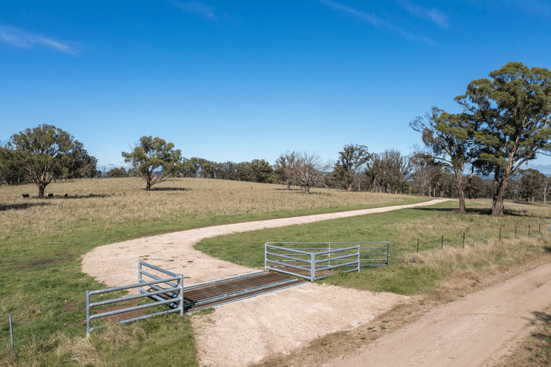 479 Whans Road, LLANGOTHLIN, NSW 2365