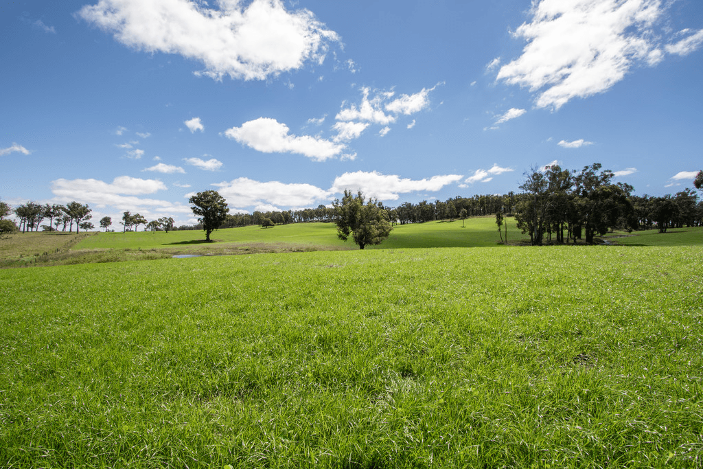 479 Whans Road, LLANGOTHLIN, NSW 2365