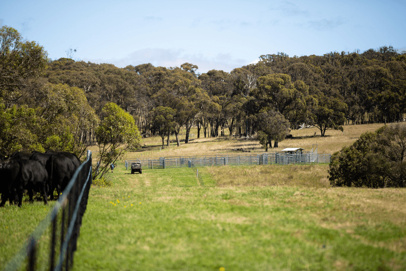 479 Whans Road, LLANGOTHLIN, NSW 2365