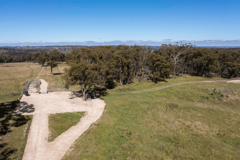 479 Whans Road, LLANGOTHLIN, NSW 2365