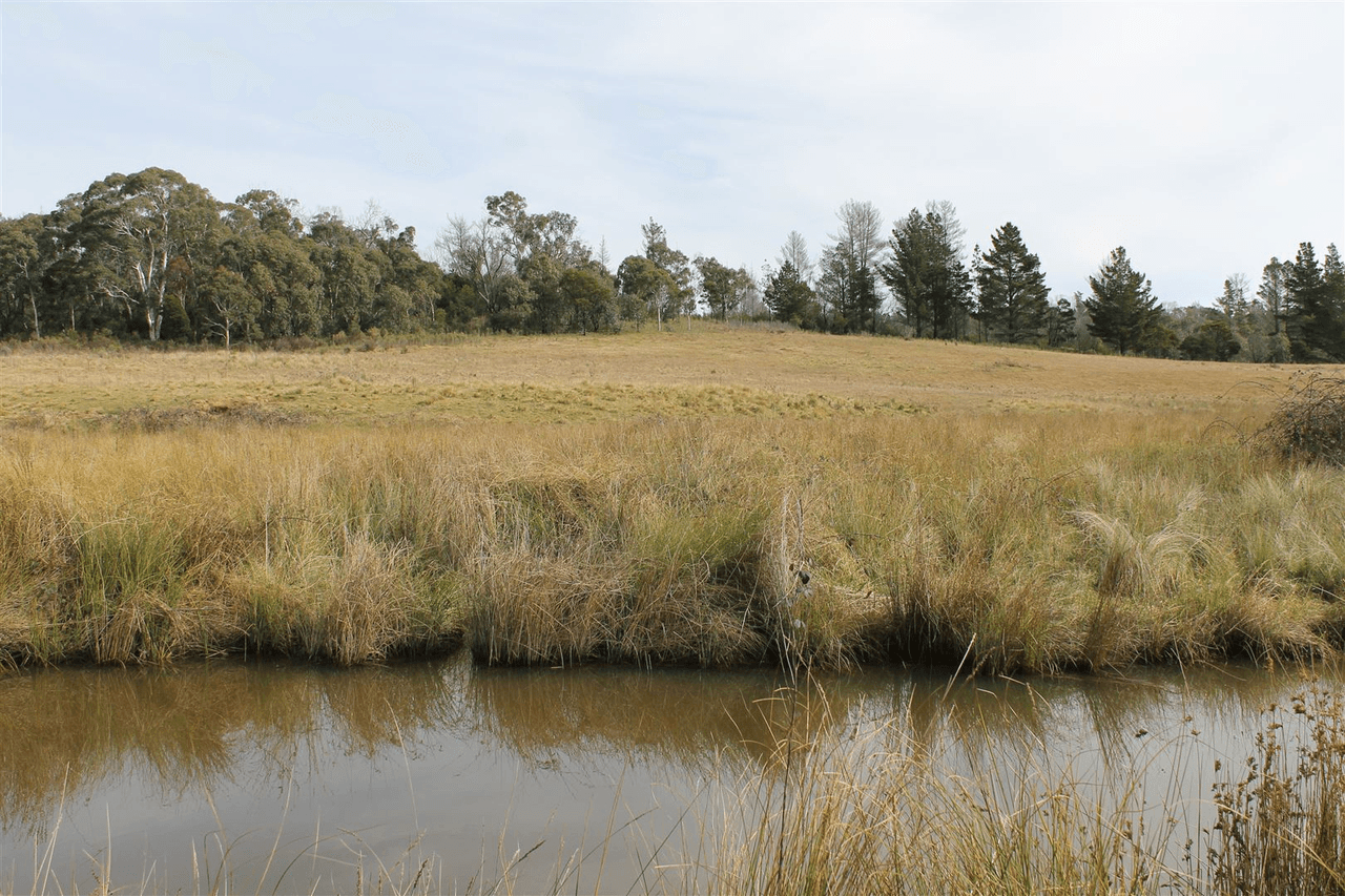 Lot 27 Haughton Road, Braidwood, NSW 2622