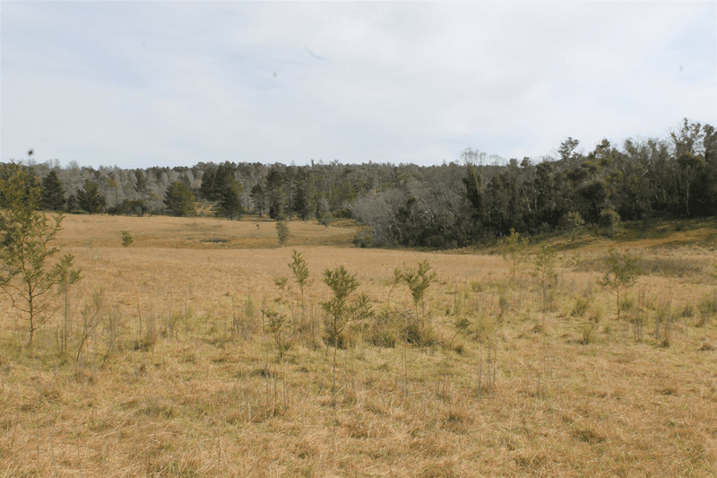 Lot 27 Haughton Road, Braidwood, NSW 2622