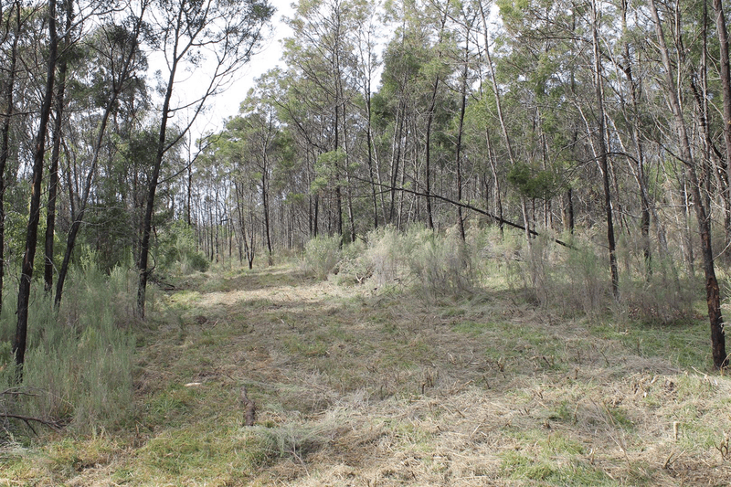 Lot 27 Haughton Road, Braidwood, NSW 2622